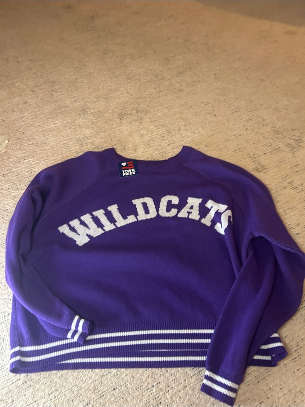 Wildcats Crewneck Sweater in Purple by Town & Pride